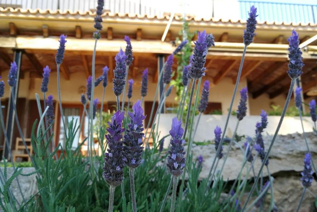 Finca Rural S'Estepa ميورقة المظهر الخارجي الصورة