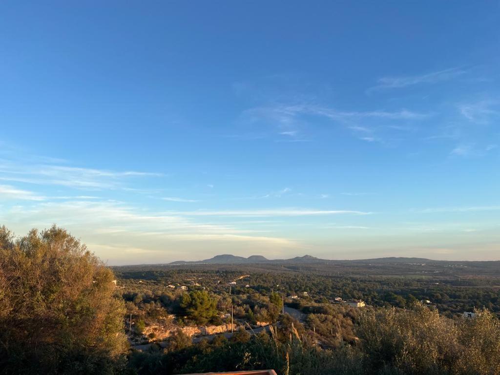Finca Rural S'Estepa ميورقة المظهر الخارجي الصورة