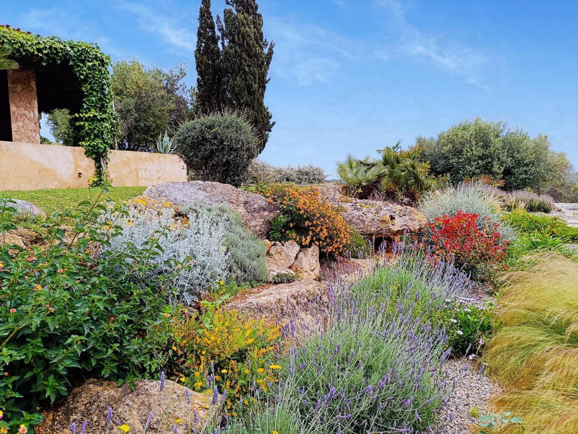 Finca Rural S'Estepa ميورقة المظهر الخارجي الصورة